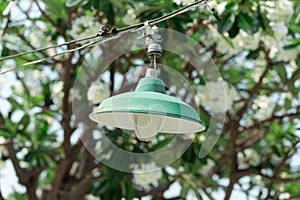 Green circular lamps