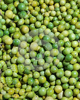 Green citrus lemon. Skin, variegated.