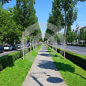 Green city alley