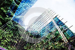 green city - double exposure of lush green forest and modern skyscrapers windows