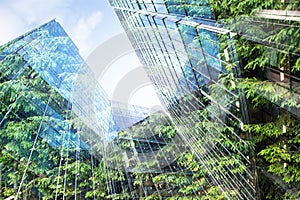 green city - double exposure of lush green forest and modern skyscrapers windows