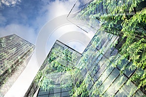 green city - double exposure of lush green forest and modern skyscrapers windows