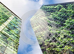 green city - double exposure of lush green forest and modern skyscrapers windows