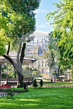 Green city park at center town, summer season, bright sunlight and shadows, beautiful landscape, home and people on street