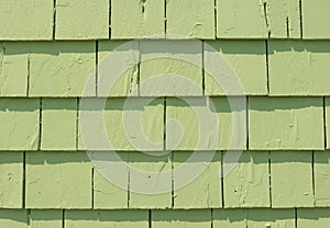 Green Clapboard siding