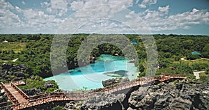 Green cliff ocean coast with limpid lake at tropic plants and trees in aerial view. Nature landscape photo