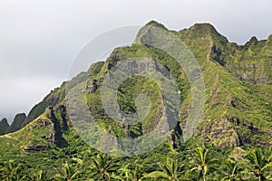Green cliffs of Kualoa Ranch