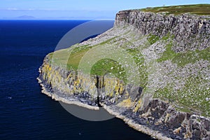 Green cliffs, scotland