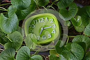 Green Clock