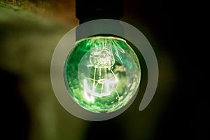Green closeup of a retro 5W watt bulb with glowing filament in a natural background