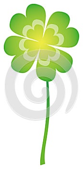 Green Clover with four leaves