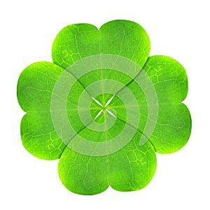 Green clover leaf
