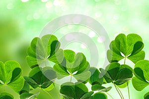 Green clover leaves on a background summer landscape. St.Patrick \'s Day