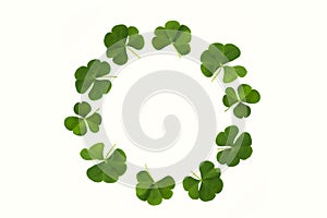 Green clover leaves isolated on white background. St.Patrick `s Day