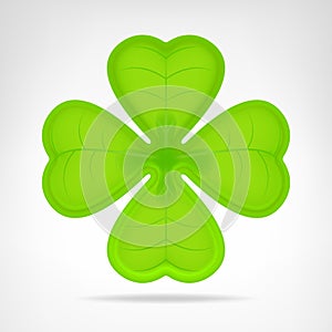Green cloverleaf isolated on white