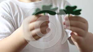 Green clower close up in hands of little boy on St. Patrick\'s Day