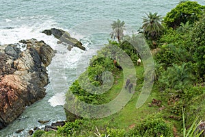 Green coast and rocky bay. View from above.