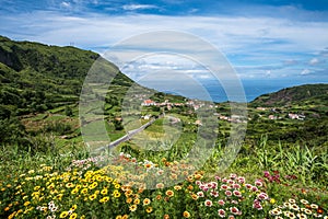 Green coastline of Flores island, Azores, Portugal