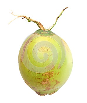 A green coconut