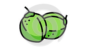 green coconut coco color icon animation