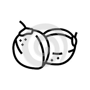 green coconut coco line icon vector illustration