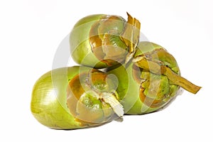 Green coconut Fruit