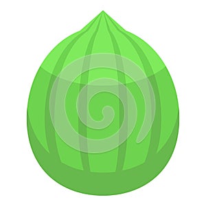 Green coconut icon isometric vector. Cream soap