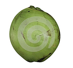 Green coconut isolated on white background - Easy to cut