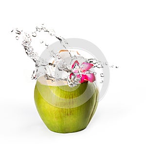 Green coconut with water splash