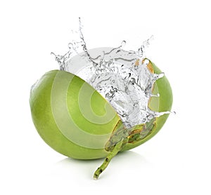 Green coconut with water splash isolated on white background.