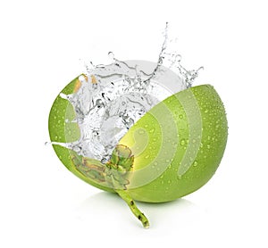 Green coconut with water splash isolated on white background