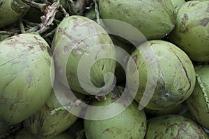 Green coconuts