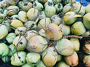 Green coconuts