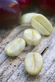 Green coffe (coffea arabica)