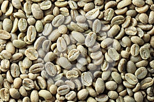 Green coffee bean background