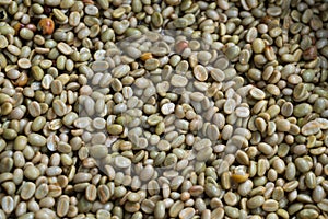 Green coffee bean after pulping hulling and cleaning