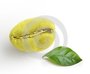 Green coffee bean.