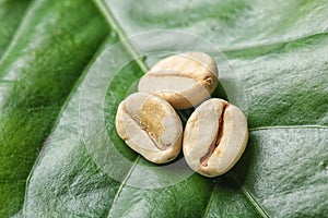 Green coffee beans on fresh lea