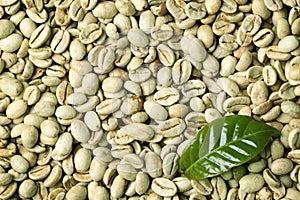 Green coffee beans and fresh leaf as background