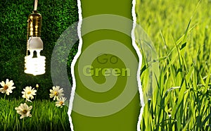 Zelený z fotografie 