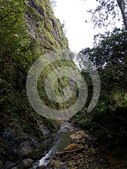Green colombian waterfall photo
