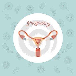 Green color background pattern pregnancy icons with fetus human embryo growth in placenta in female reproductive organ