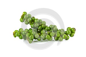 green color black pepper on white background