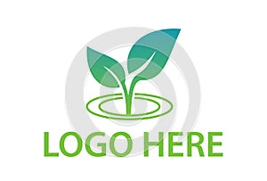 Green Color Leaf Eco Nature Line Art Circle Logo Design