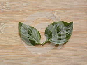 Green color raw Ocimum basilicum leaf