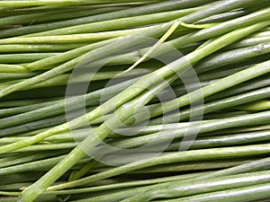 Green color Scallions