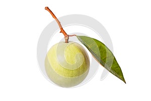 Green color star apple