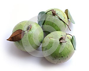 Green color star apple