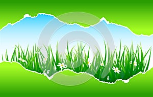 Green color torn paper with grass and flower. Vector illustration