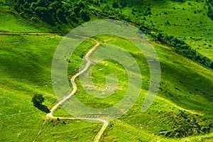 The green-colored baby ski slope in the summer